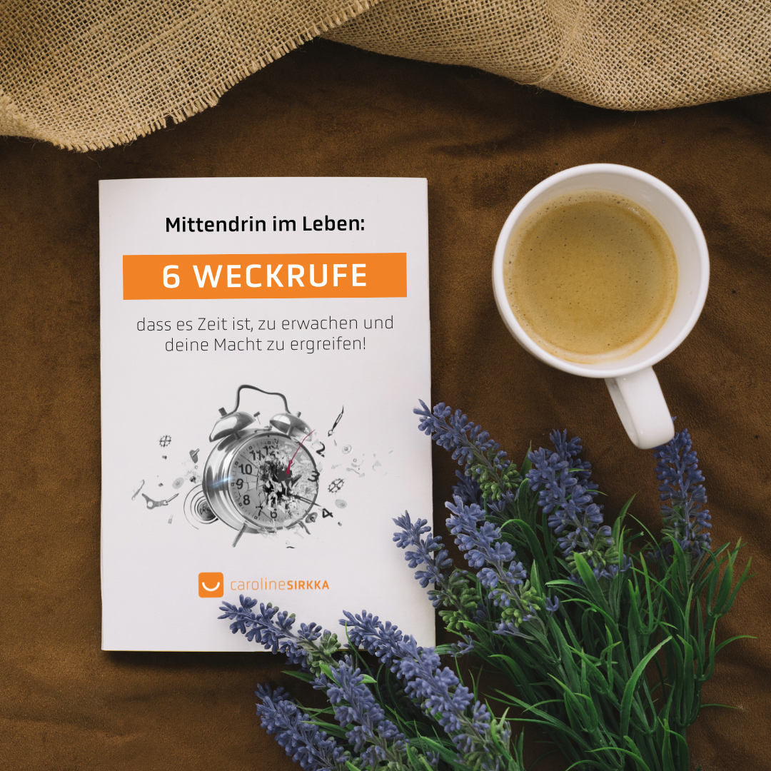 PDF-Report "6 Weckrufe"